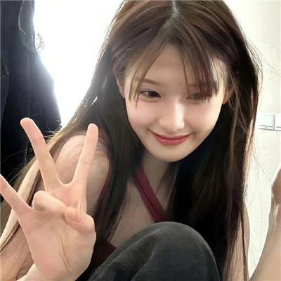 雪域丹青